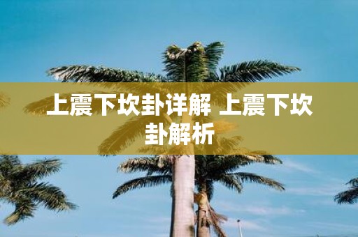 上震下坎卦详解 上震下坎卦解析