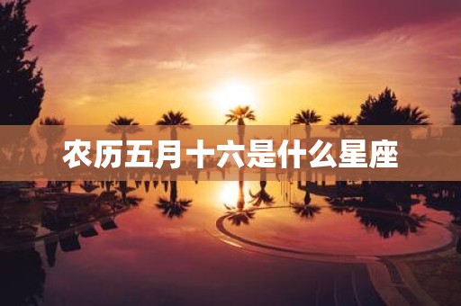 农历五月十六是什么星座