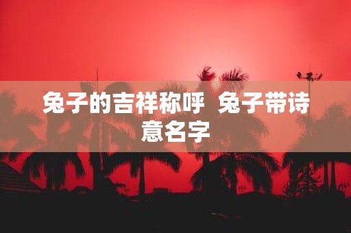 兔子的吉祥称呼 兔子带诗意名字