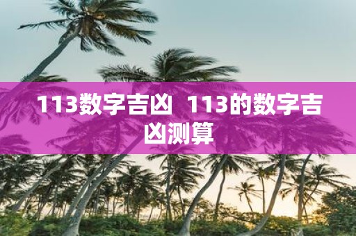 113数字吉凶 113的数字吉凶测算