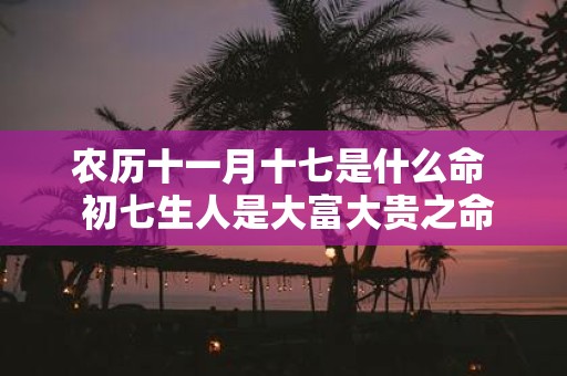 农历十一月十七是什么命 初七生人是大富大贵之命