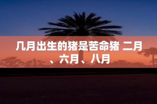 几月出生的猪是苦命猪 二月、六月、八月