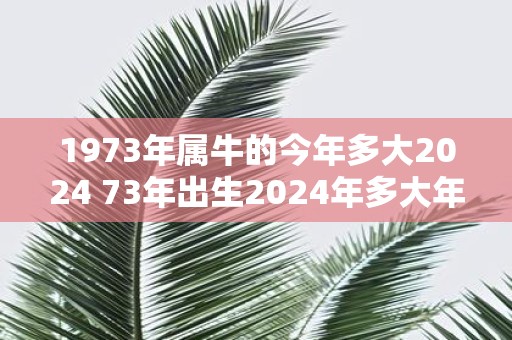 1973年属牛的今年多大2025 73年出生2025年多大年龄