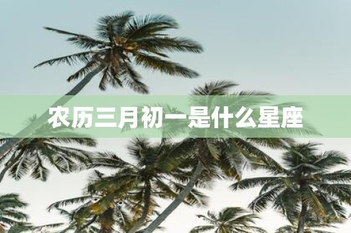 农历三月初一是什么星座