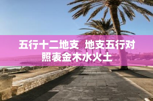 五行十二地支 地支五行对照表金木水火土