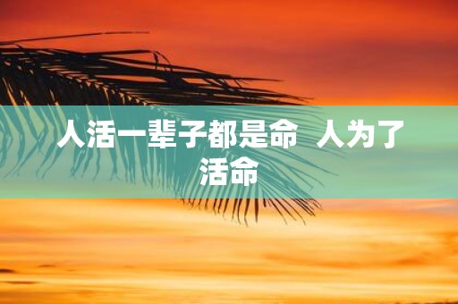 人活一辈子都是命 人为了活命