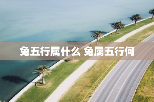 兔五行属什么 兔属五行何