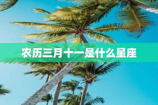 农历三月十一是什么星座