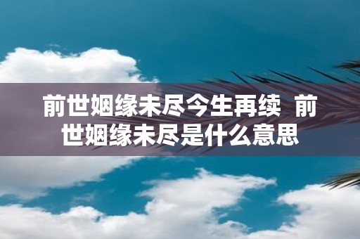 前世姻缘未尽今生再续 前世姻缘未尽是什么意思