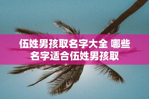 伍姓男孩取名字大全 哪些名字适合伍姓男孩取