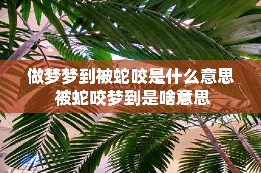 做梦梦到被蛇咬是什么意思 被蛇咬梦到是啥意思