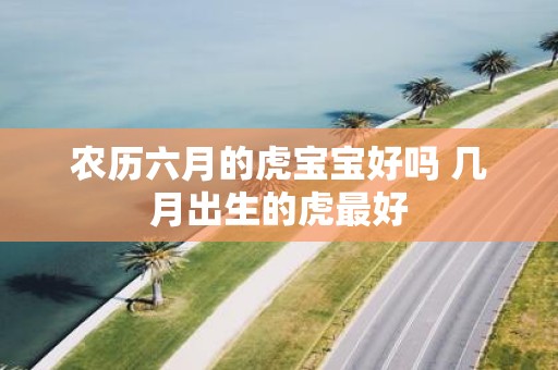 农历六月的虎宝宝好吗 几月出生的虎最好