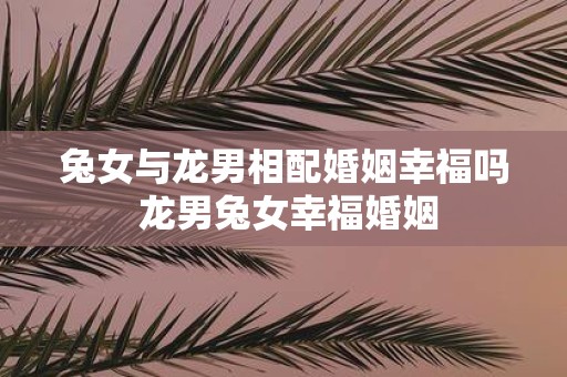 兔女与龙男相配婚姻幸福吗 龙男兔女幸福婚姻