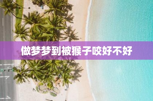 做梦梦到被猴子咬好不好