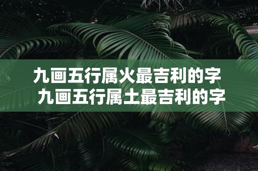九画五行属火最吉利的字 九画五行属土最吉利的字