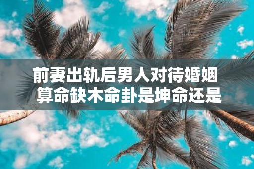 前妻出轨后男人对待婚姻 算命缺木命卦是坤命还是水命