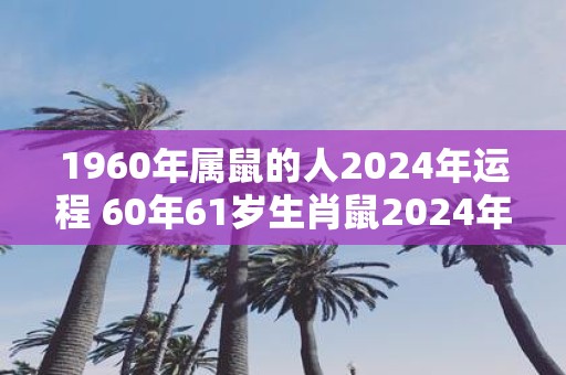 1960年属鼠的人2025年运程 60年61岁生肖鼠2025年运势