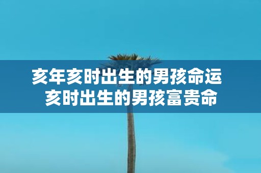 亥年亥时出生的男孩命运 亥时出生的男孩富贵命