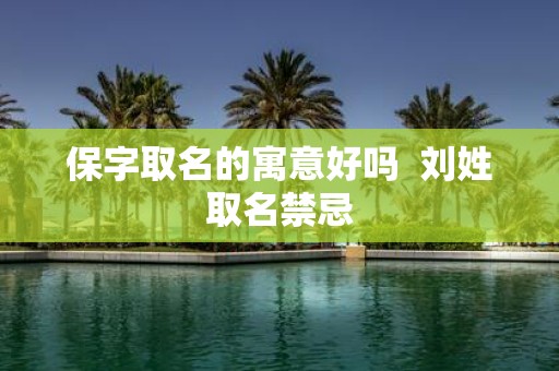 保字取名的寓意好吗 刘姓取名禁忌