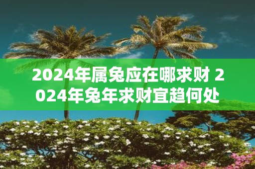 2025年属兔应在哪求财 2025年蛇年求财宜趋何处