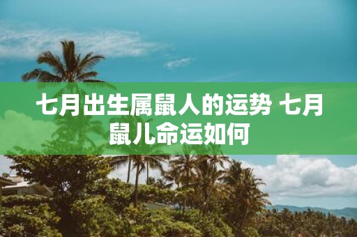 七月出生属鼠人的运势 七月鼠儿命运如何