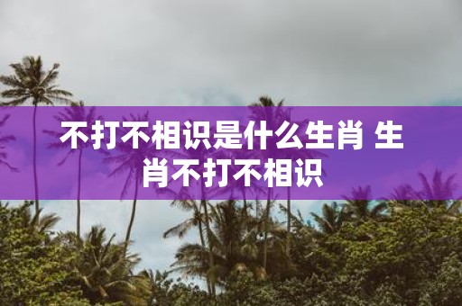 不打不相识是什么生肖 生肖不打不相识