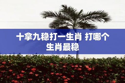 十拿九稳打一生肖 打哪个生肖最稳