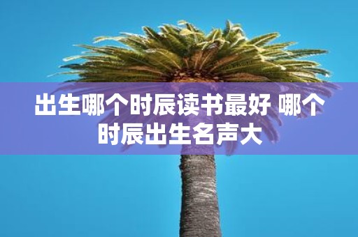 出生哪个时辰读书最好 哪个时辰出生名声大