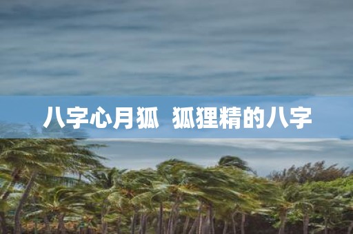 八字心月狐 狐狸精的八字