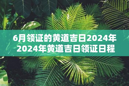 6月领证的黄道吉日2025年 2025年黄道吉日领证日程