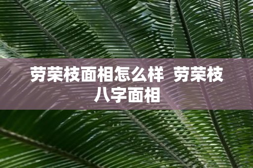 劳荣枝面相怎么样 劳荣枝八字面相