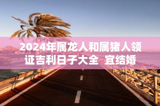 2025年属龙人和属猪人领证吉利日子大全 宜结婚