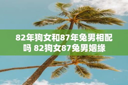 82年狗女和87年兔男相配吗 82狗女87兔男姻缘