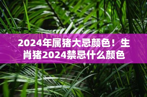 2025年属猪大忌颜色！生肖猪2025禁忌什么颜色