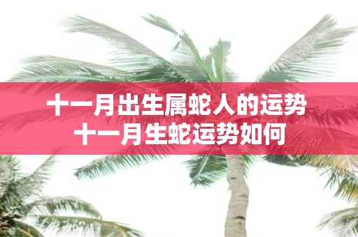 十一月出生属蛇人的运势 十一月生蛇运势如何
