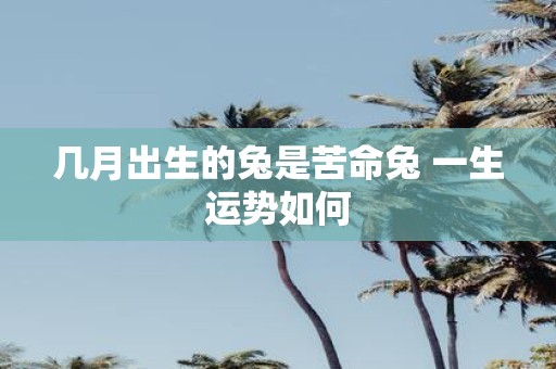 几月出生的兔是苦命兔 一生运势如何