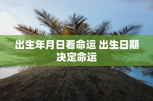 出生年月日看命运 出生日期决定命运