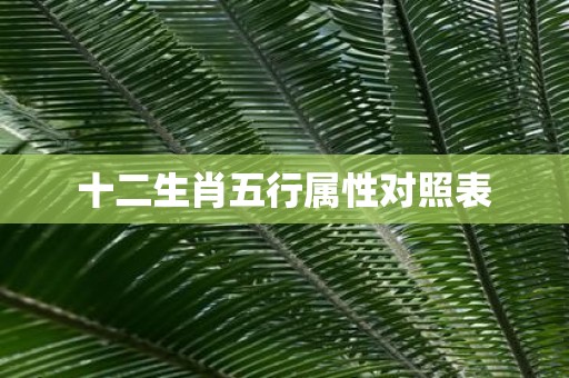 十二生肖五行属性对照表