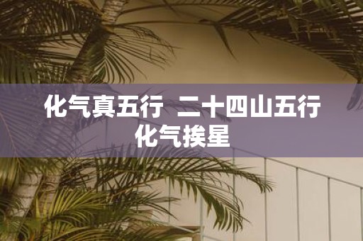 化气真五行 二十四山五行化气挨星