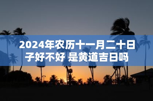2025年农历十一月二十日子好不好 是黄道吉日吗