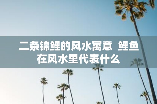 二条锦鲤的风水寓意 鲤鱼在风水里代表什么