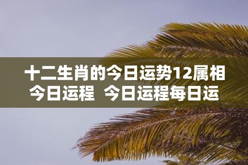 十二生肖的今日运势12属相今日运程 今日运程每日运势查询