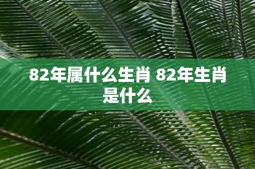 82年属什么生肖 82年生肖是什么