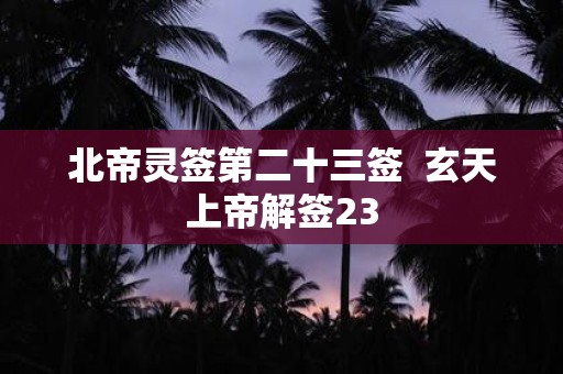 北帝灵签第二十三签 玄天上帝解签23