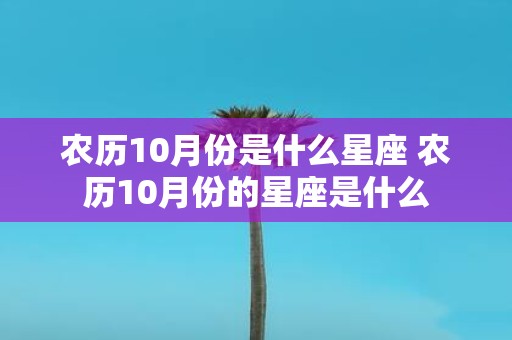农历10月份是什么星座 农历10月份的星座是什么