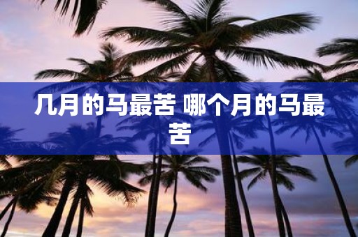 几月的马最苦 哪个月的马最苦