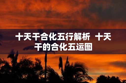 十天干合化五行解析 十天干的合化五运图