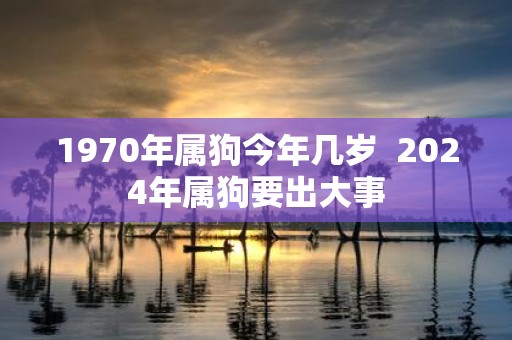 1970年属狗今年几岁 2025年属狗要出大事