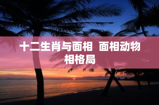 十二生肖与面相 面相动物相格局