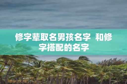 修字辈取名男孩名字 和修字搭配的名字